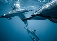 开云体育官网：让体育激情在指尖燃烧—专业、可信、便捷的在线投注平台